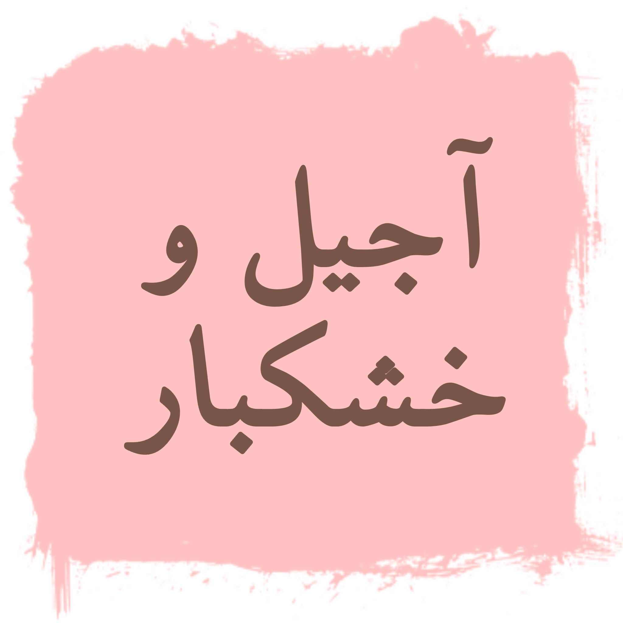 آجیل
